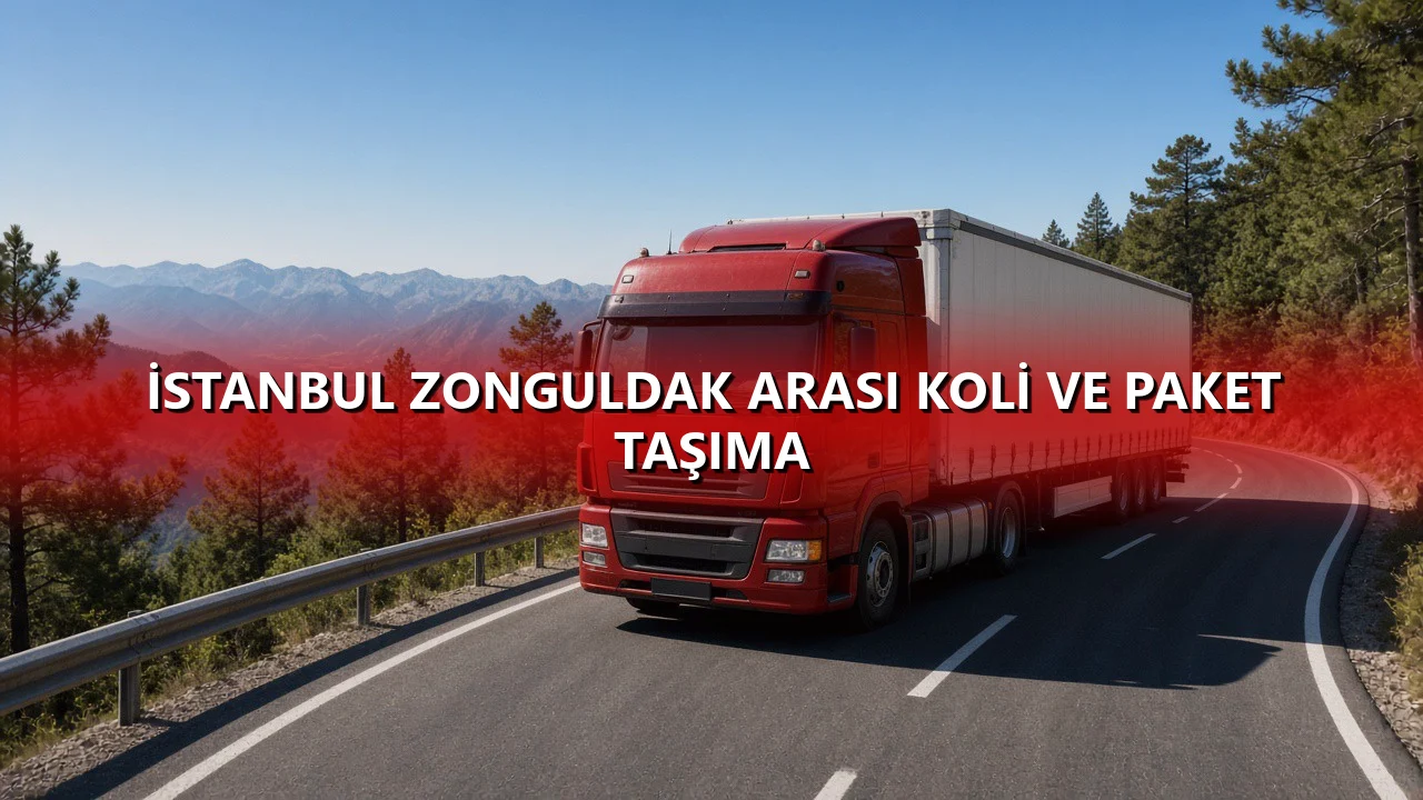 İstanbul Zonguldak Arası Koli ve Paket Taşıma
